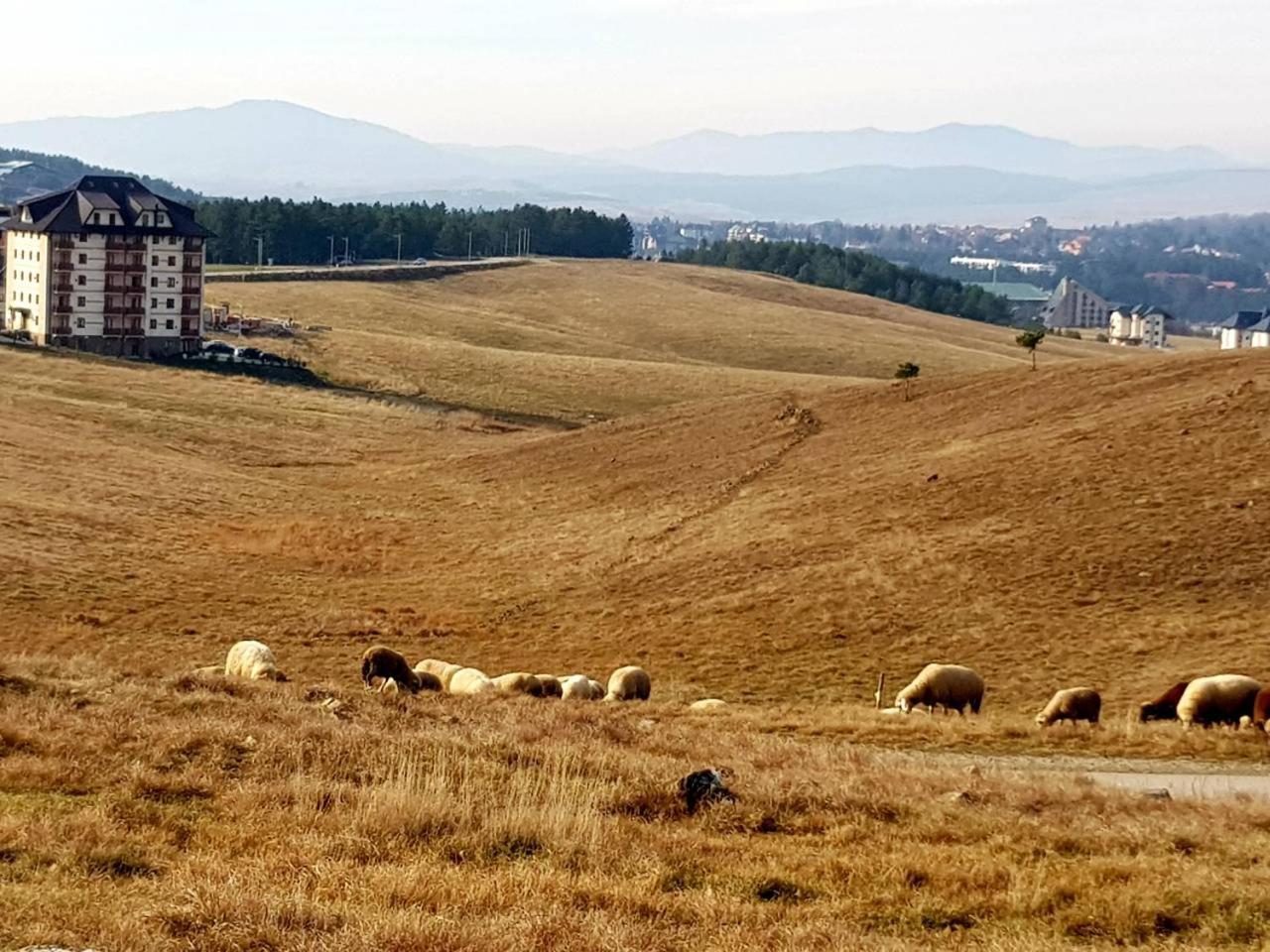 Sunset Zlatibor Hills Bed & Breakfast Eksteriør bilde